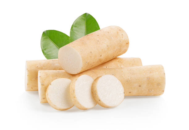 istock Chinese yam on white background. full depth of field 1215856197