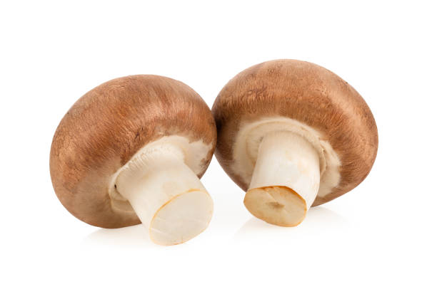 istock Fresh champignon mushrooms isolated on white background. full depth of field 1215856253