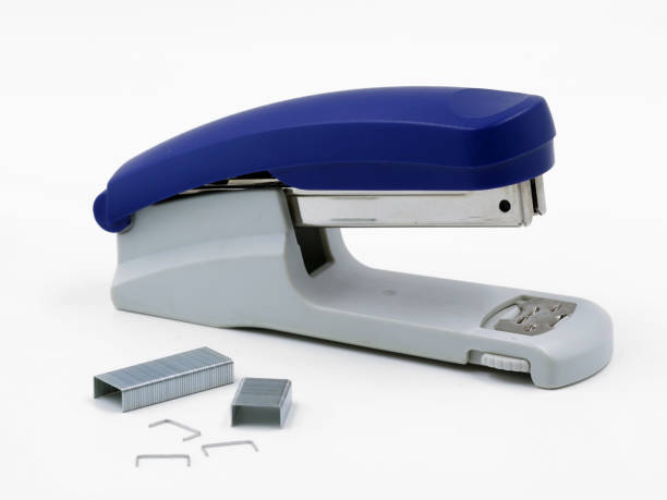 Stapler and hole punch. Office and school attributes.