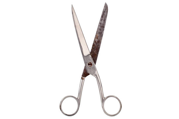 istock Old fashioned rusty metal open scissors on white background isolated close up, vintage steel cutting tool for paper, fabric clippers, retro haircut shears, tailor pair of scissors, nobody, studio shot 1215857849