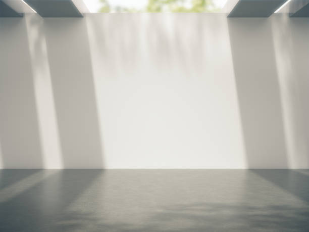 Empty space for product showcase and Trees shadow on the wall .3D rendering.