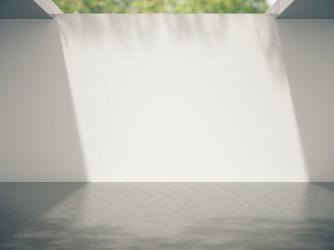 Empty space for product showcase and Trees shadow on the wall .3D rendering.