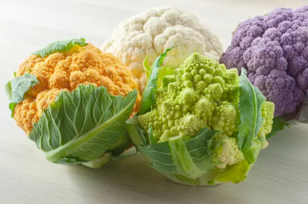 Photo of group of small cauliflowers in different colors