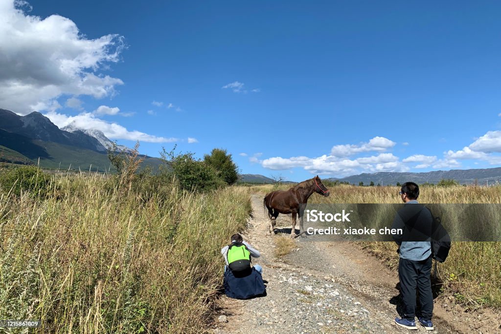 Two men take a picture of a horse on the road under the snow mountain Lijiang Stock Photo