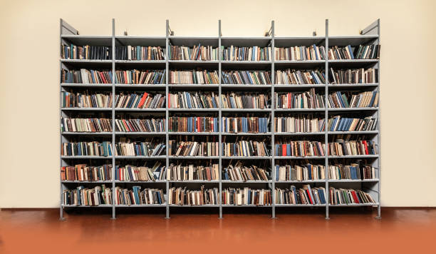 istock View of shelves with books 1215863305