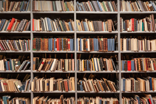 istock View of shelves with books 1215863317