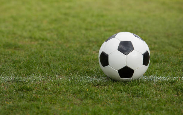 istock Classic soccer ball, typical black and white pattern, placed on the white marking line of the stadium turf. Traditional football ball on the green grass lawn with copy space. 1215865252