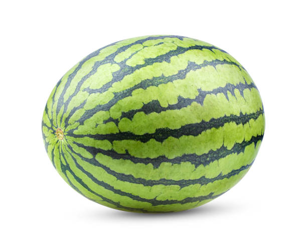 istock watermelon isolated on white background. full depth of field 1215865302
