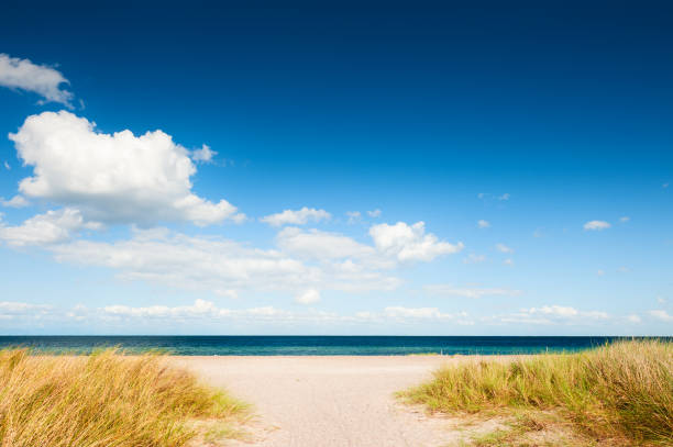 Sandy beach in Copenhagen, Denmark Sandy beach in Copenhagen, Denmark. Blue sea and sky with white clouds. Beautiful summer landscape zealand denmark stock pictures, royalty-free photos & images
