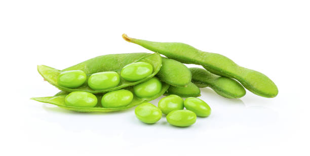 istock edamame beans isolated on white background. full depth of field 1215873987