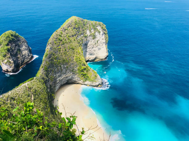 istock Kelingking Beach Nusa Penida 1215875990