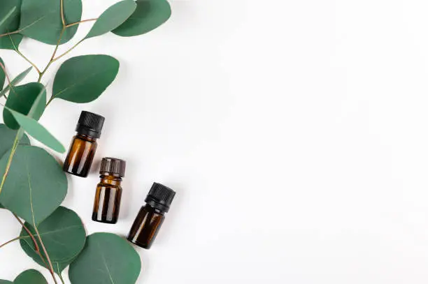 Unbranded amber glass bottles lying with green eucalyptus leaves. Cosmetic containers for natural medicine, essential and massage oil, aromatherapy products on white. Copy space in right side.