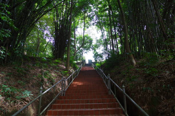 istock Wat prathat pukhao in Chiang saen 1215881173