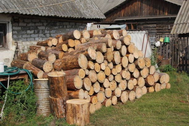 Firewood is stacked in the yard. Photo