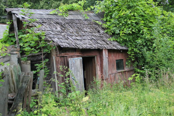 дом в заброшенной деревне - shed cottage hut barn стоковые фото и изображения