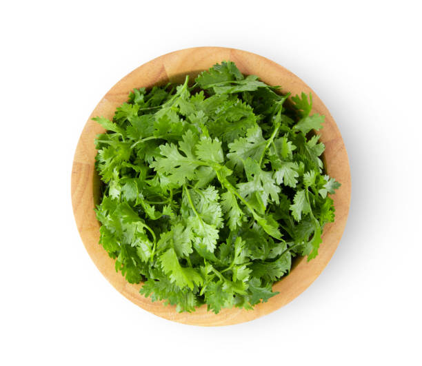 istock coriander leaf in wood bowl isolated on white background. top view 1215886512
