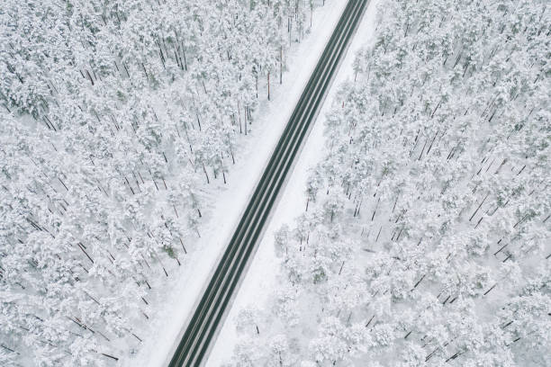 istock High Angle View Of Road Amidst Snow Covered Trees 1215888204