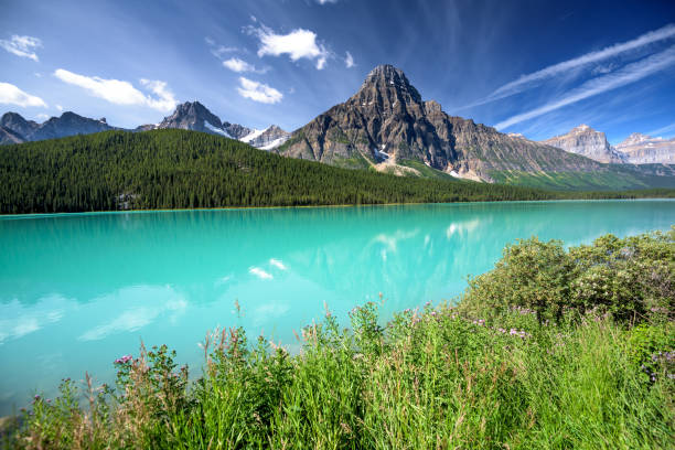 istock Waterfowl lakes Banff National Park, Alberta, Canada 1215888384