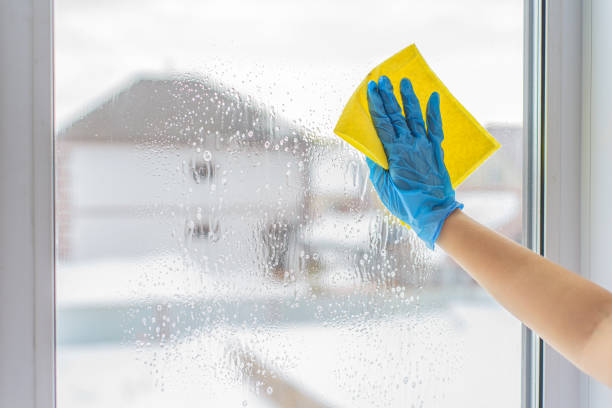 istock Hands in the blue gloves wash window with spray. 1215888529