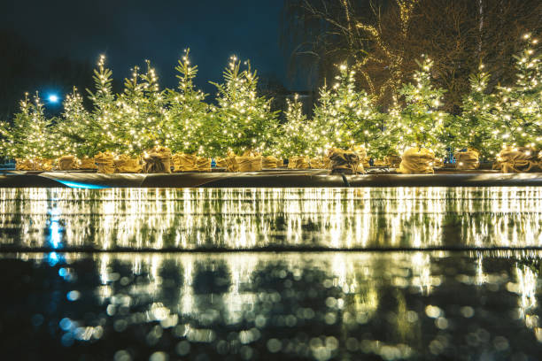 istock Illuminated Christmas Tree By Lake At Night 1215888546