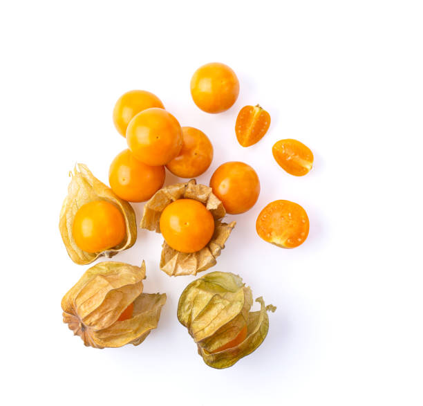 istock Cape Gooseberry isolated on white background top view 1215890159