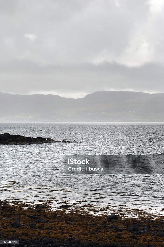 Isle of Skye landscape, Scotland Algae Stock Photo