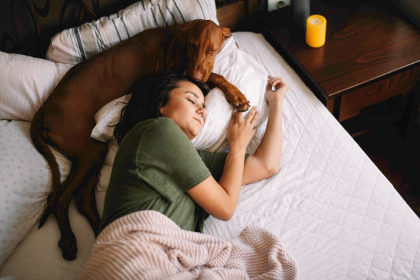 istock Beautiful woman lying on bed with her dog 1215892483