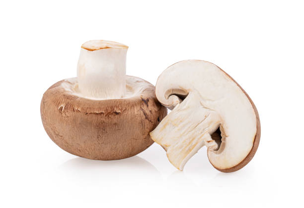 istock Champignon Mushroom isolated on white background 1215894276