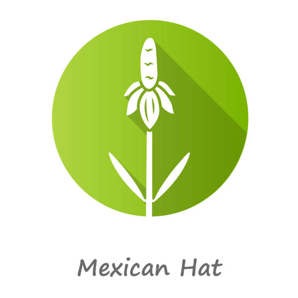 ilustrações de stock, clip art, desenhos animados e ícones de mexican hat wild flower green flat design long shadow glyph icon. upright prairie coneflower with name. ratibida columnifera plant. blooming wildflower. spring blossom. vector silhouette illustration - grass prairie silhouette meadow