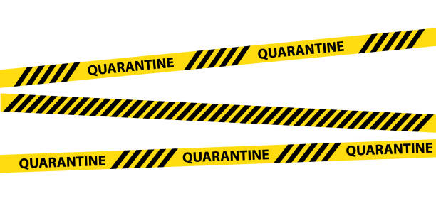 istock Yellow quarantine warning tape isolated on white background. Illustration vector graphic warning text of quarantine. Coronavirus, Covid-19 outbreak 1215896973