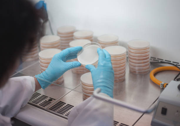istock Female Scientist in Lab searching for cure 1215897348