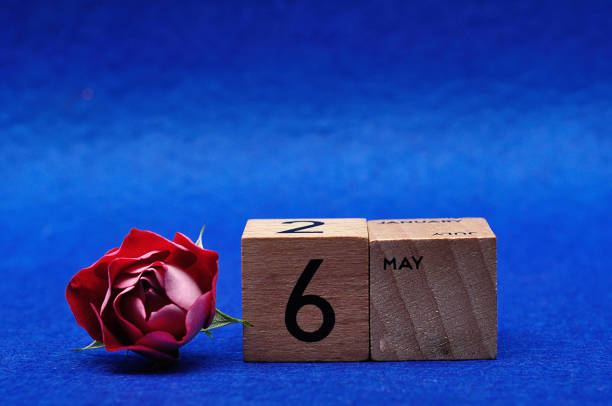 istock 6 May on wooden blocks with a red rose on a blue background 1215897430