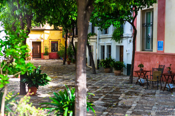 Changes and complications caused by coronavirus epidemy, world without crowds, virus empties streets and parks. Almost empty street in Seville, Spain, 2020.