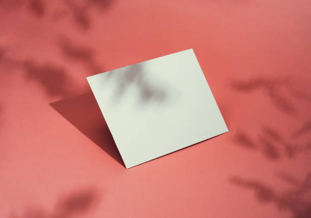 istock Trendy Summer layout made with paper card note  on bright pastel pink sunlit background. Minimal summer shadow concept with creative copy space. 1215899335