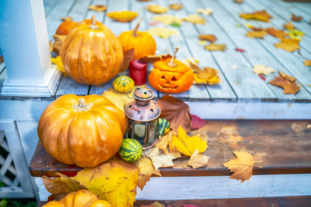 Halloween pumpkins in night mystery forest