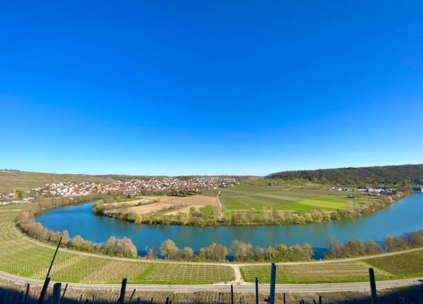 istock Vineyards in Mundelsheim, Neckar river 1215906009