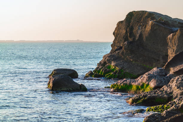Rocky coast in summer season