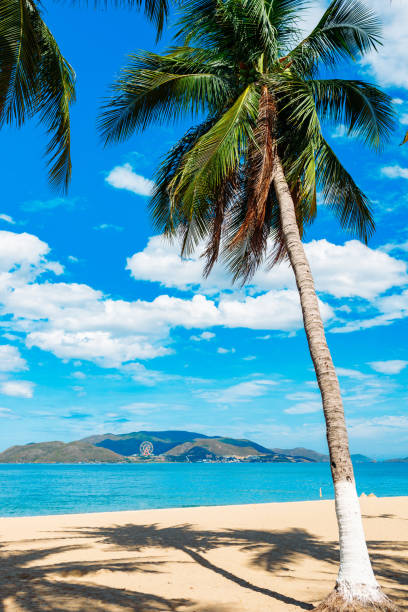 istock Empty paradise beach, blue sea Beautiful tropical island. vacation 1215915705