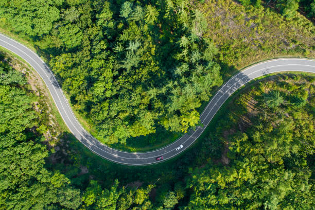 istock Road curve in the forest - aerial view 1215918782