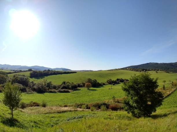 istock Sunrise or sunset over the hills and meadow. 1215922824