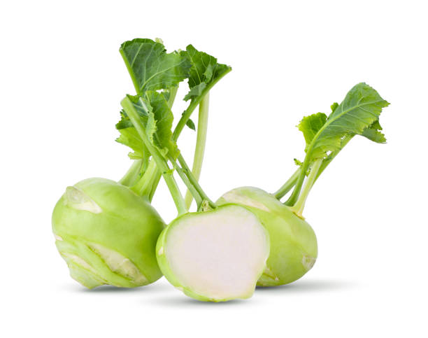 fresh kohlrabi with green leaves on isolated white backround. full depth of field - kohlrabi turnip kohlrabies cabbage imagens e fotografias de stock