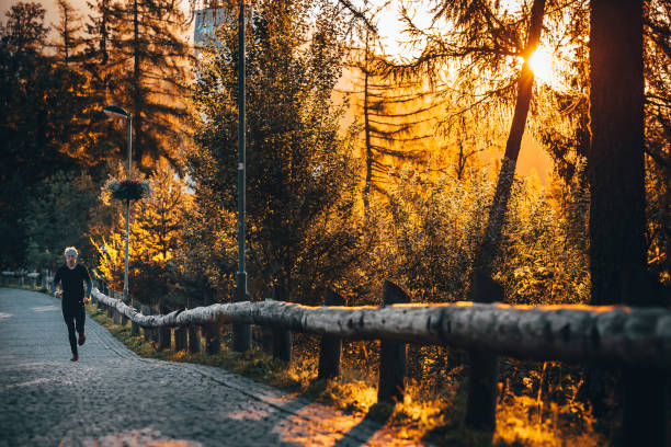 Runner in sunny autumn morning, sunrise light
