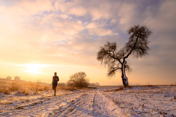 istock Man and magic tree, orange landscape in winter morning, edit space 1215928862