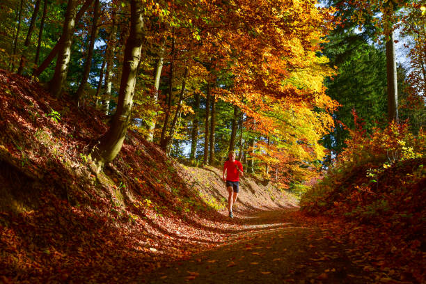 istock Runner in beautiful colorful autumn nature 1215929186