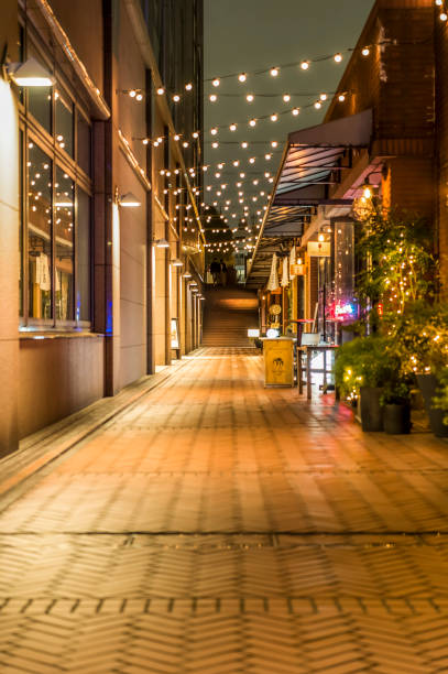 istock Illumination behind the alley 1215930296