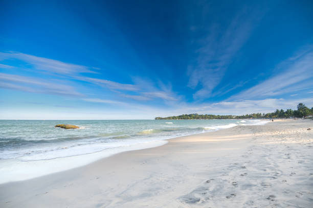 istock Beautiful beach landscape in Sri Lanka 1215930527