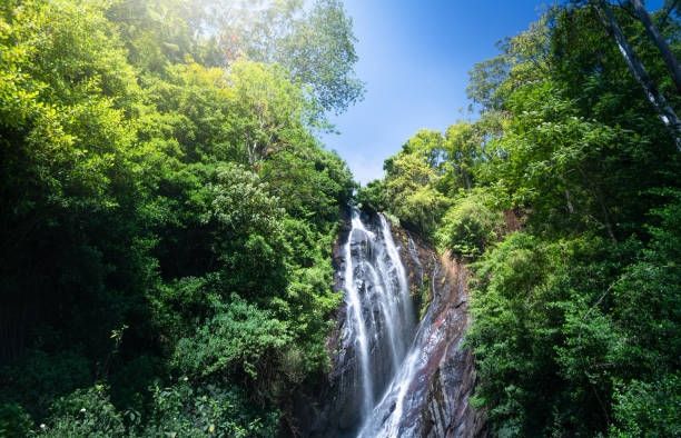 istock Beautiful waterfall in Sri Lanka 1215930548