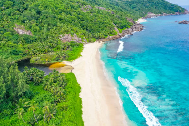 istock Seychelles beach Grand Anse La Digue 1215932102