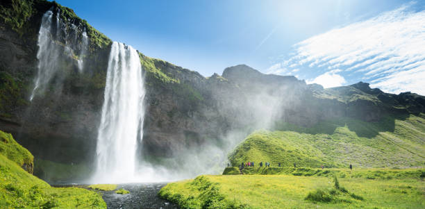 istock Seljalandsfoss waterfall in Iceland in Summer 1215932660