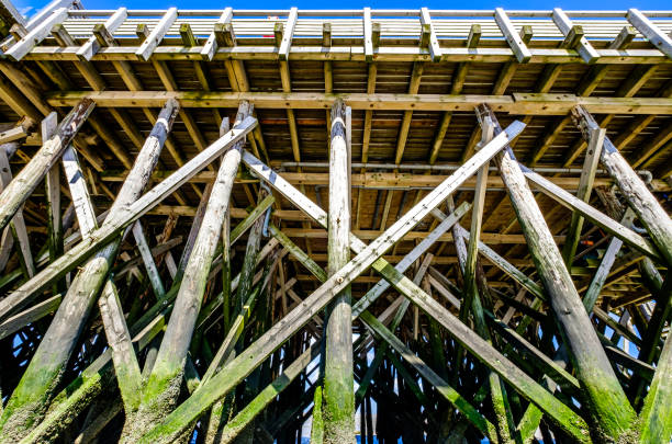 istock old wooden jetty at a lake 1215932733